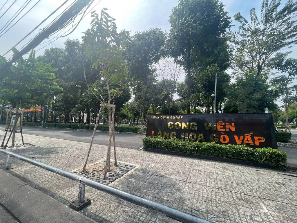 thuviennhadat.vn